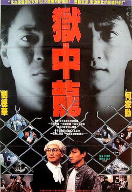 《善良岳母：我爱我的女婿》海报